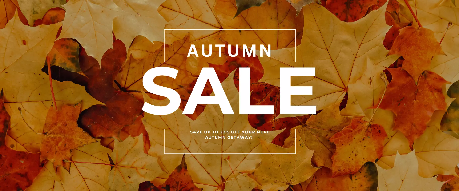 A background of autumn leaves with the words 