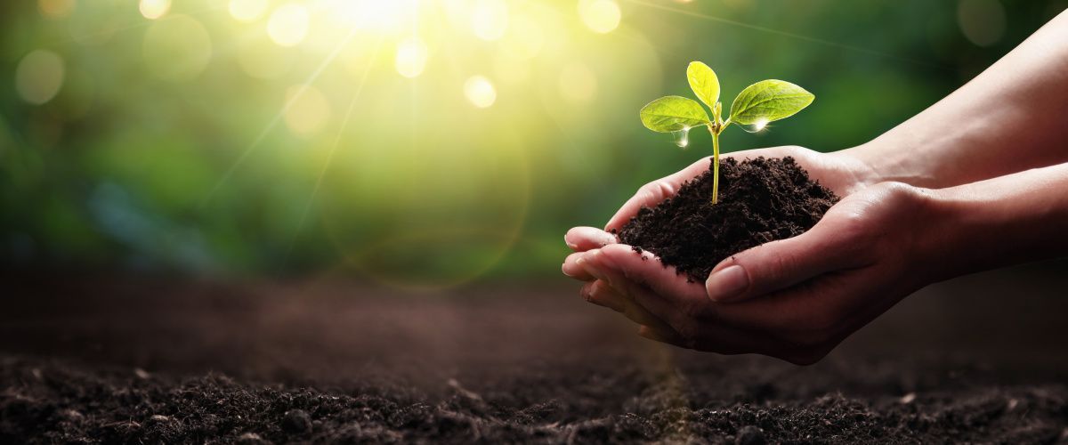 Lancaster sustainability