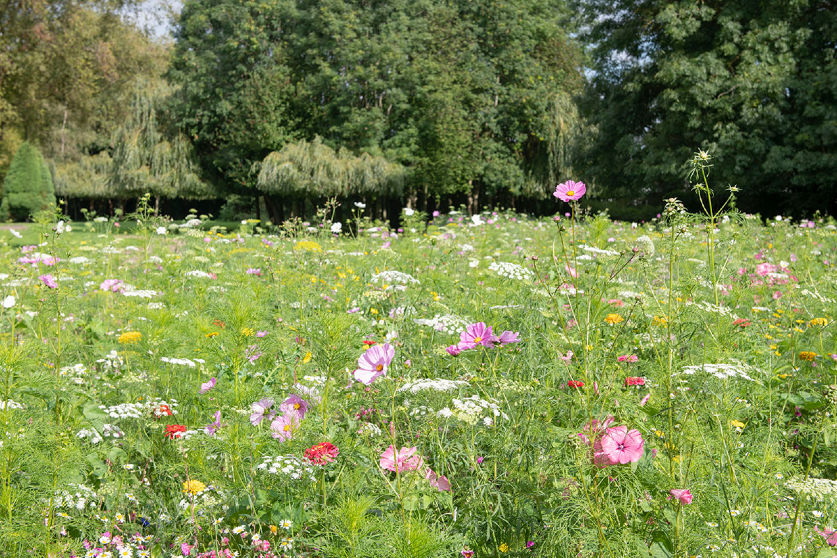 Sustainable events in Lancaster.